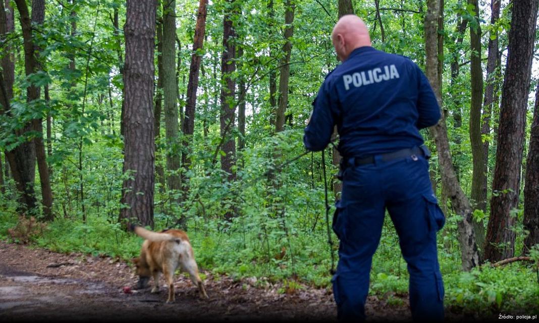 Rozpoczęcie akcji „Łapki na kierownicę” w Miliczu